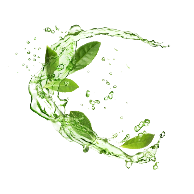 Chá verde refrescante